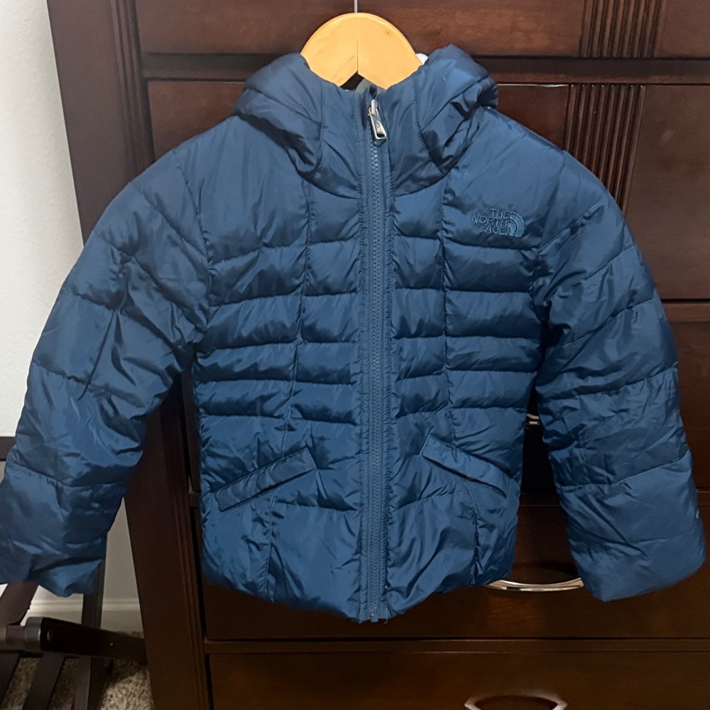 The North Face Kids Dark Peacock Puffer Jacket
